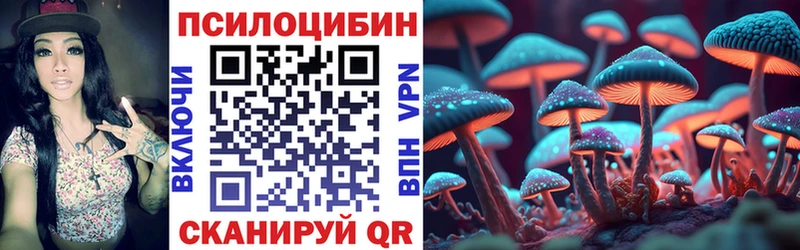 дарк нет формула  Гаврилов-Ям  Галлюциногенные грибы Psilocybe 