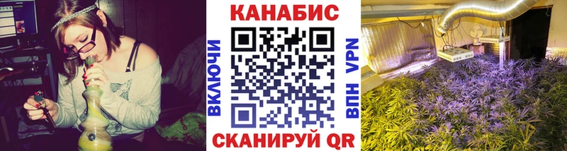 Бошки марихуана сатива Гаврилов-Ям